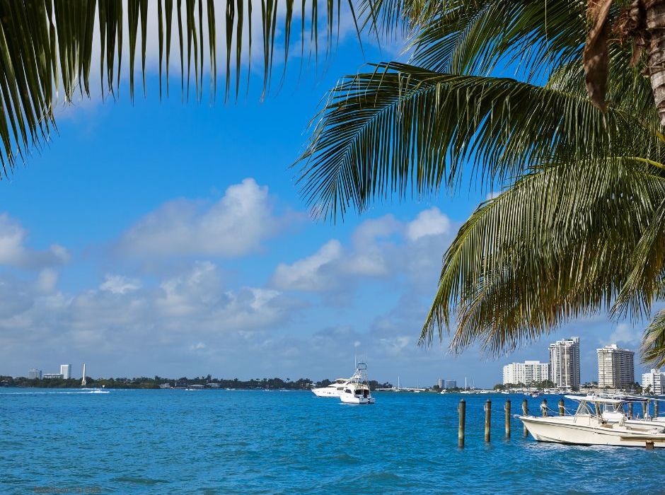 Palm Beach wedding reception, wedding ceremony, wedding venue, Palm Beach wedding venue, affordable wedding venue, ballroom, banquet, party, celebration, wedding, wedding planning, best wedding venue, Near Miami, Near Daytona, Near Fort Lauderdale, Loxahatchee, West Palm Beach